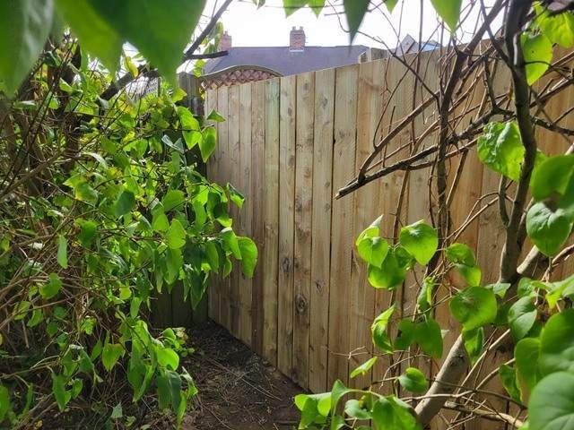 fencing-installers-23-kireth-ai